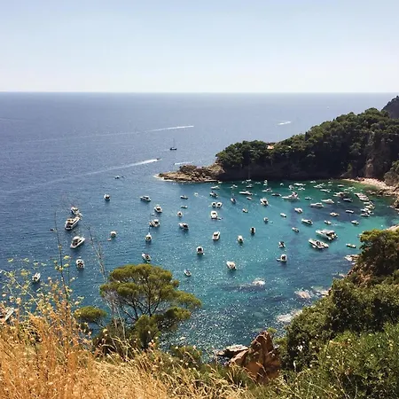 Stunning Apartment In Tossa De Mar Tossa de Mar
